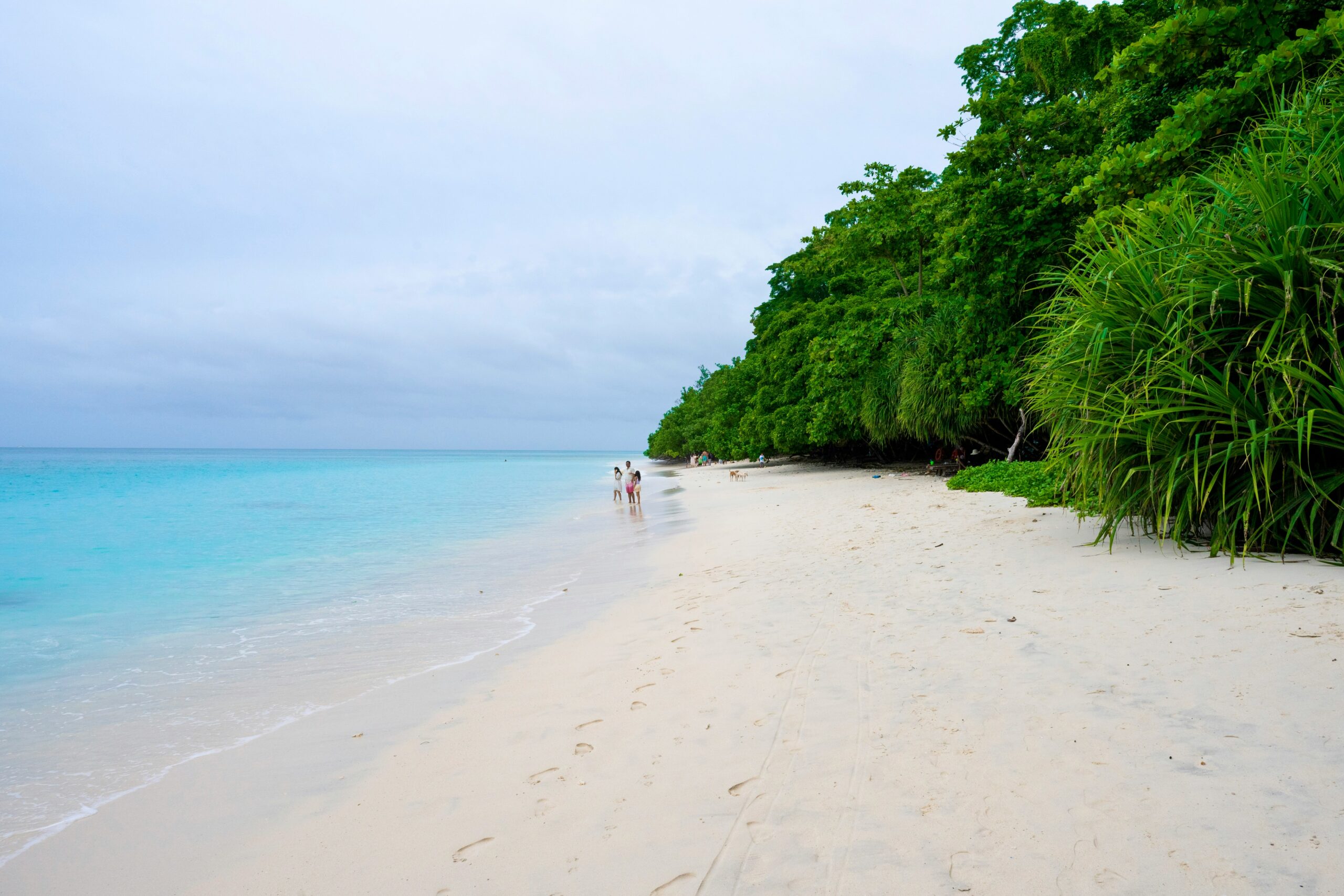 4N/5D Andaman Tour Package with Nile