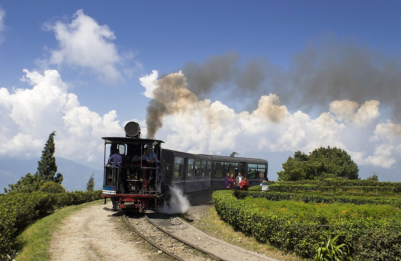 Darjeeling Tour