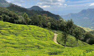 Kerala Tour Package