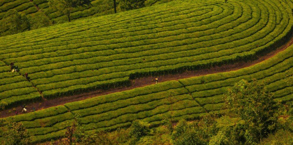 Kerala
