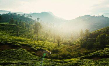 Wayanad Weekend Tour 2 Nights 3 days