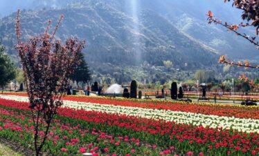 Kashmir Corridor – 7 Nights / 8 Days