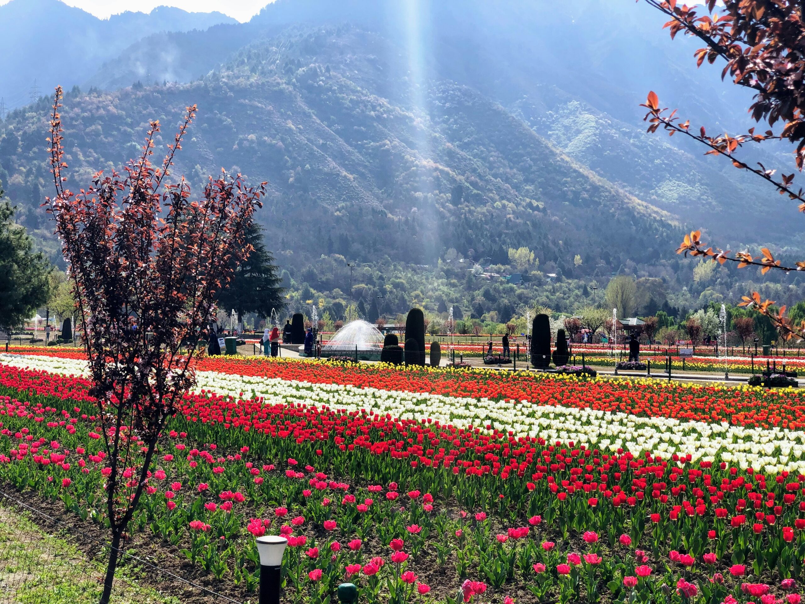 Kashmir Family Tour Itinerary 4 Nights 5 Days