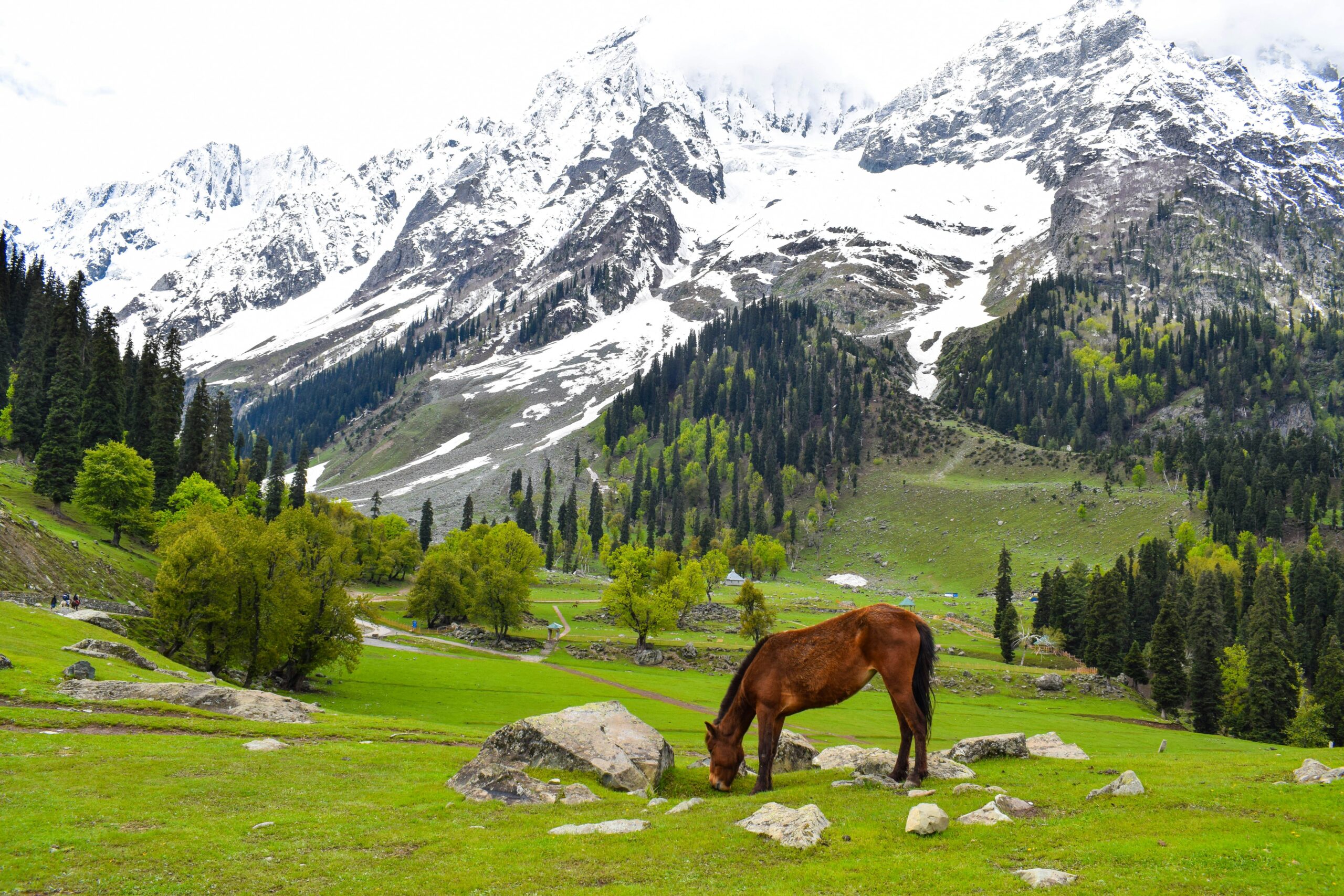 Glimpses of Kashmir Valley 3 Nights 4 Days