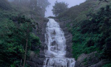 Kerala Tour with Kodaikanal 6 Days / 5 Nights