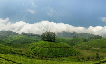 Exotic Kerala Package – 3 Nights / 4 Days