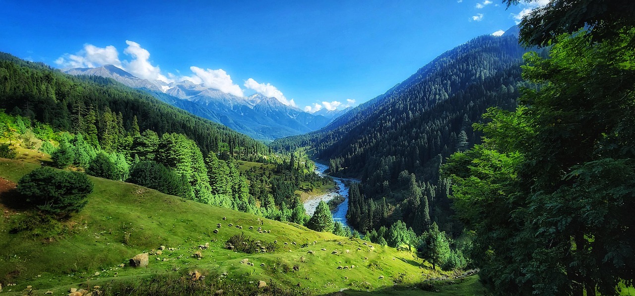 Kashmir Tour Package 5 Nights 6 Days