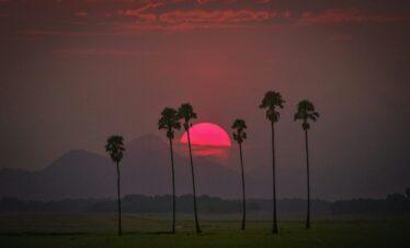Kerala Medley Tour Package 7 Nights / 8 Days
