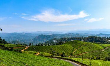 5 Nights / 6 Days Kerala Tour Package