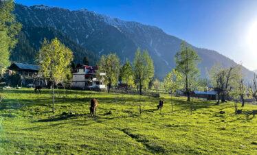 Himachal with Golden Temple – 4 Nights / 5 Days