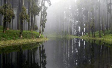 Gangtok Pelling Darjeeling Tour 6Night/ 7 Days
