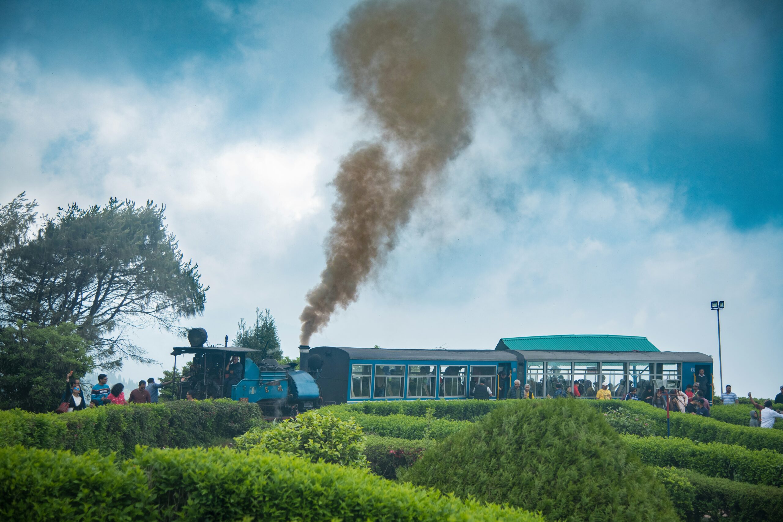 Darjeeling Extended