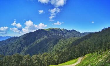 Jibhi – Jalori – Tirthan Valley 4 Nights / 5 Days