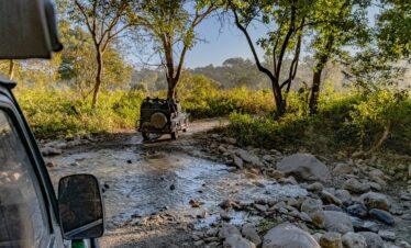 5 Nights / 6 Days Nainital, Jim Corbett & Mussoorie Tour Package