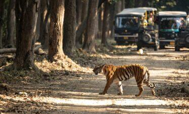 Nainital & Jim Corbett Tour Package – 3 Nights / 4 Days