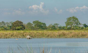 2 Nights / 3 Days Kaziranga Tour Package