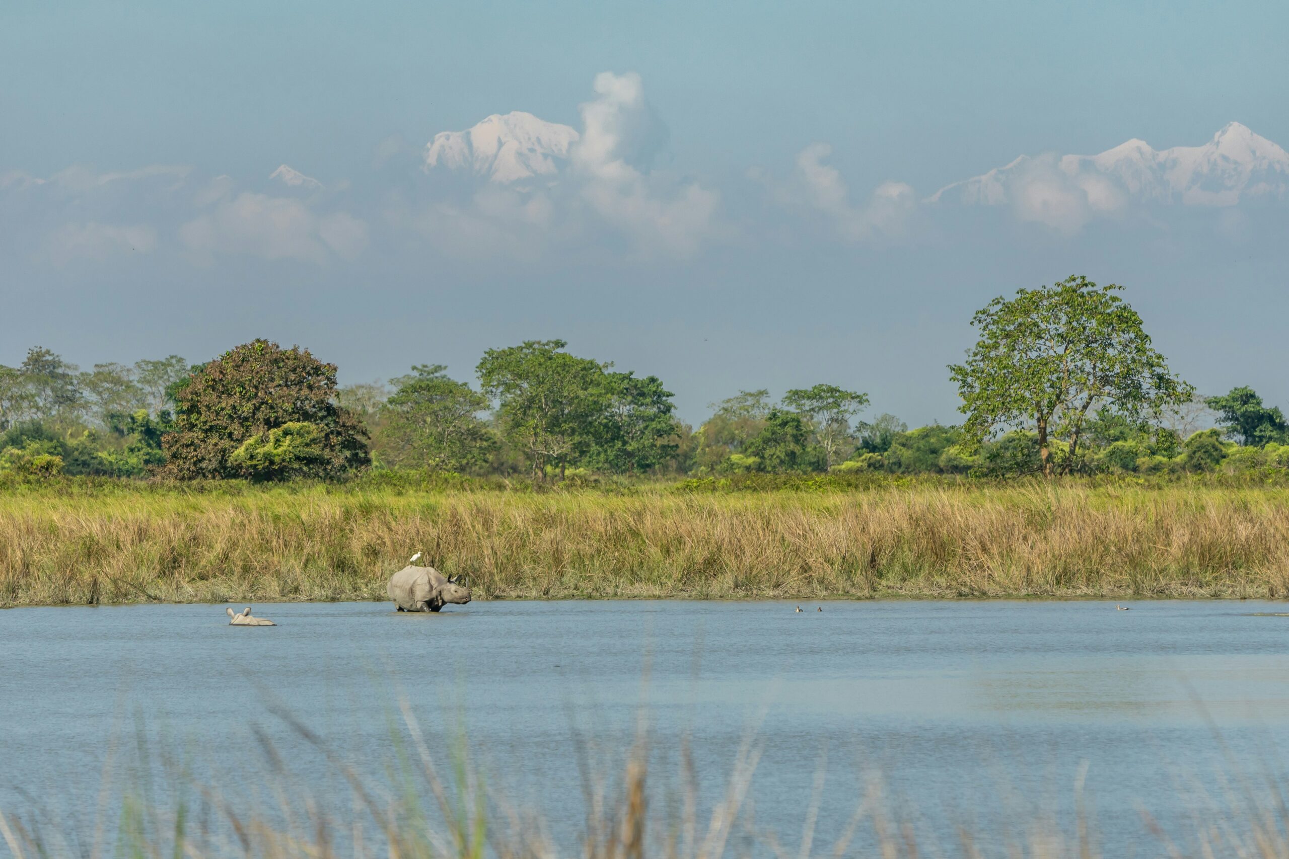 Guwahati & Kaziranga