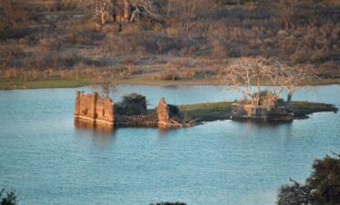 Ranthambore Tour 2 Nights / 3 Days