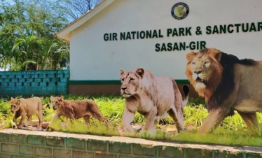 Ahmedabad – Dwarka – Somnath – Sasan Gir Tour 4 Nights / 5 Days