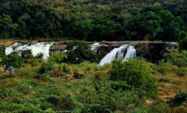 Sasan Gir Tour – 2 Nights / 3 Days