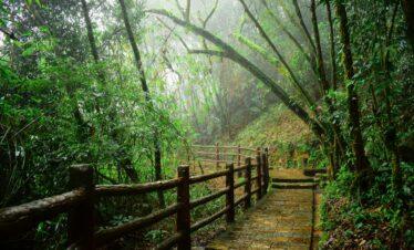 Guwahati – Shillong – Cherrapunji Tour 5 Nights / 6 Days