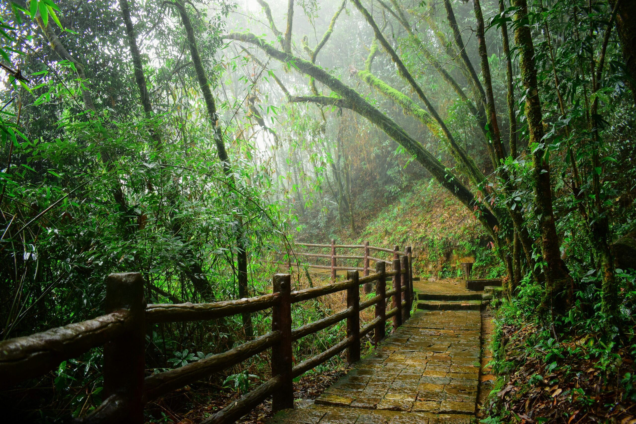 Guwahati Shillong Kaziranga