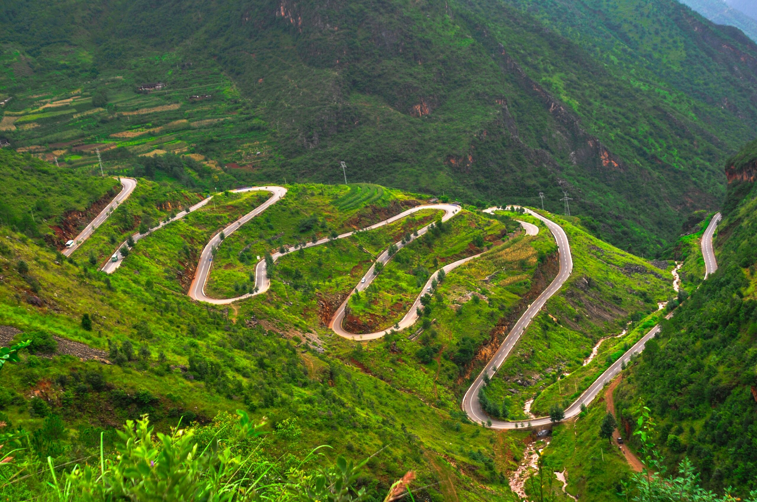 Gangtok Zuluk Darjeeling Kalimpong Tour