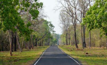 Tadoba National Park Tour Package 2 Nights / 3 Days