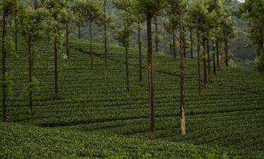 2 Days Valparai Tour Package